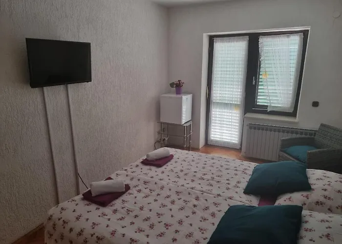 Guest house Romansa 2*